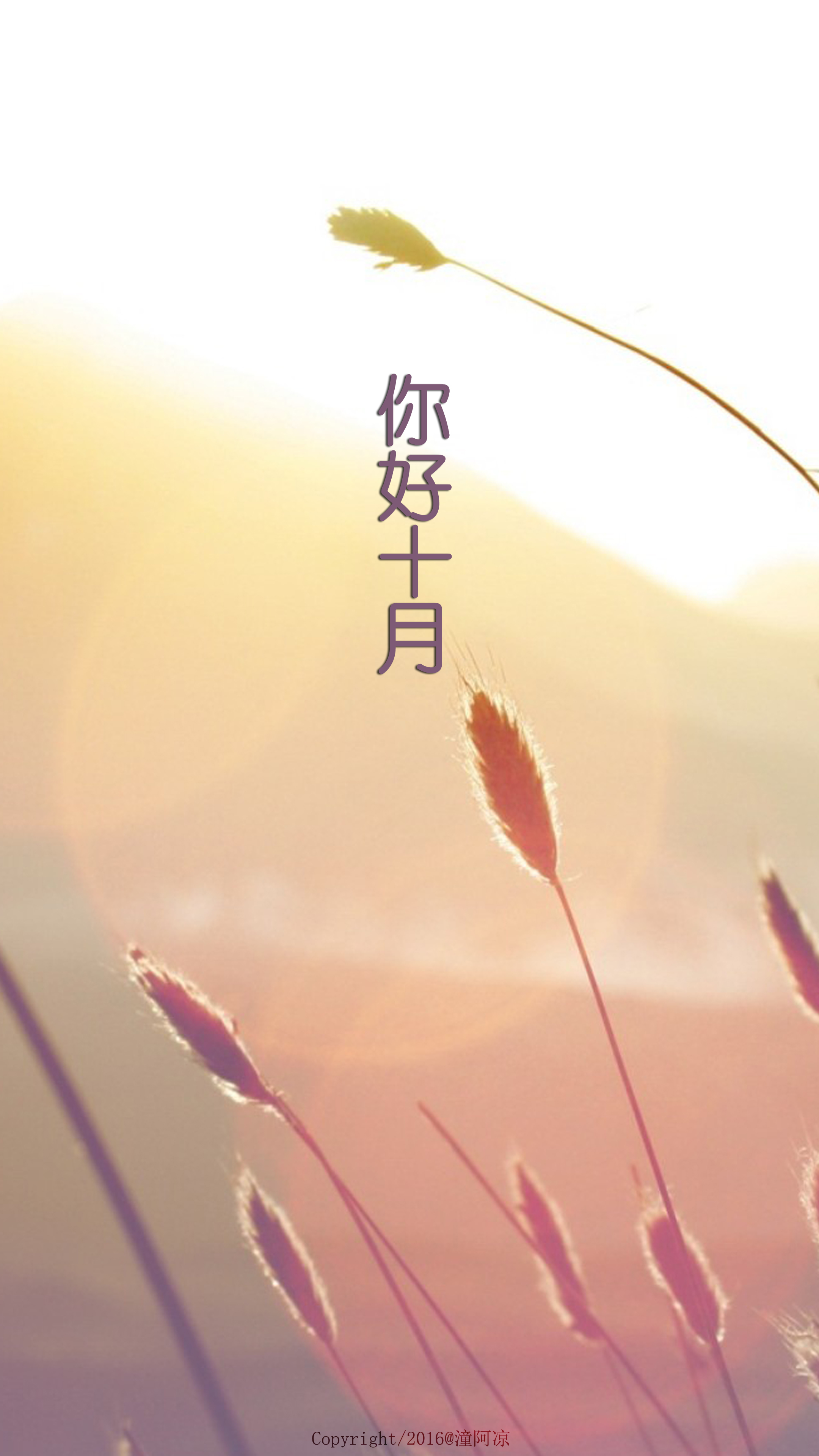 [hello,october/你好,十月]#月份壁纸#节日壁纸#风景#花朵#英文#@潼