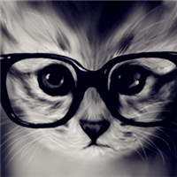 卡通 可爱 萌宠 动物 喵咪 狗猫 汪星人 猫星人 插画 头像戴眼镜