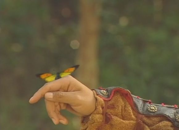TVB封神榜 莲花化生的蝴蝶