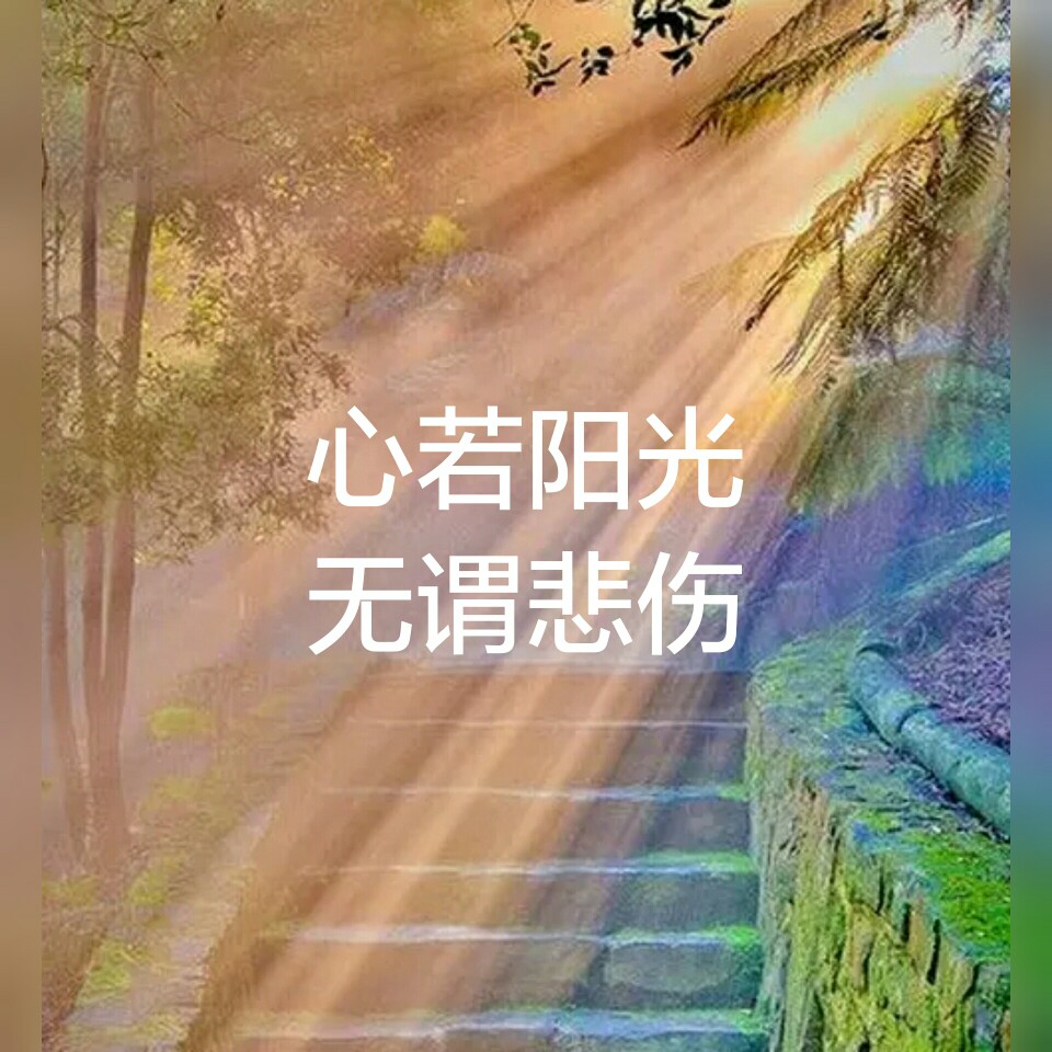 心若阳光
