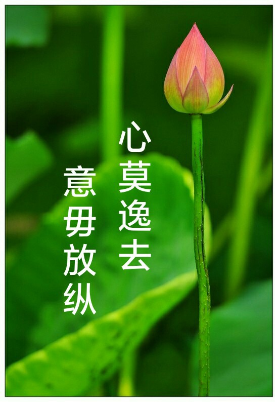 心莫逸去意毋放纵