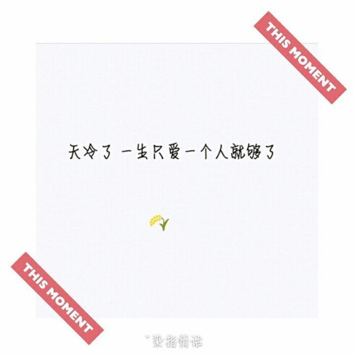 踏遍千山万水的寻觅,此生只乩,你依然是我如一的守候,而我却不是你