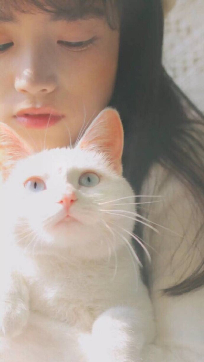 猫 女孩 粉红 日系 少女心 高清iphone壁纸