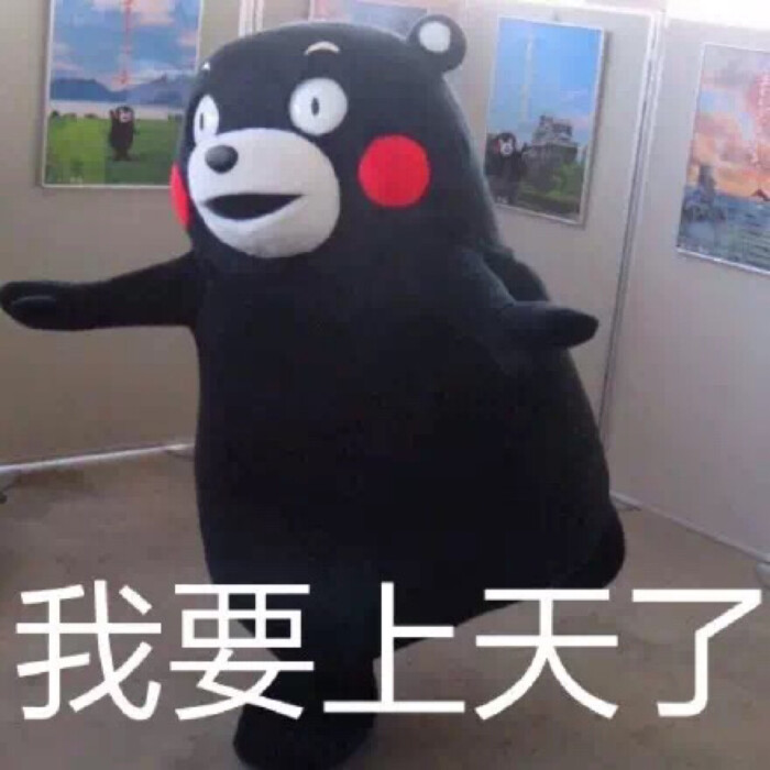 熊本熊表情包