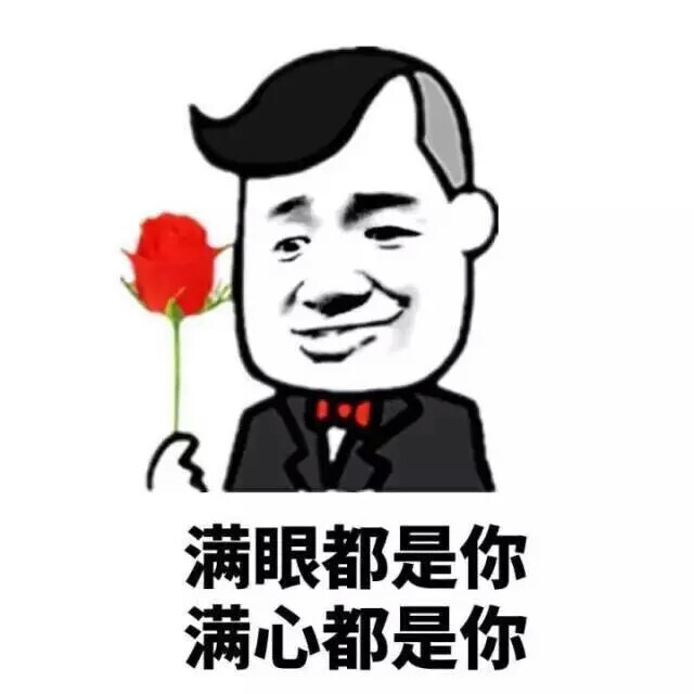 意境 美图 动物 大海 搞笑 gif 暴走漫画 …-堆糖