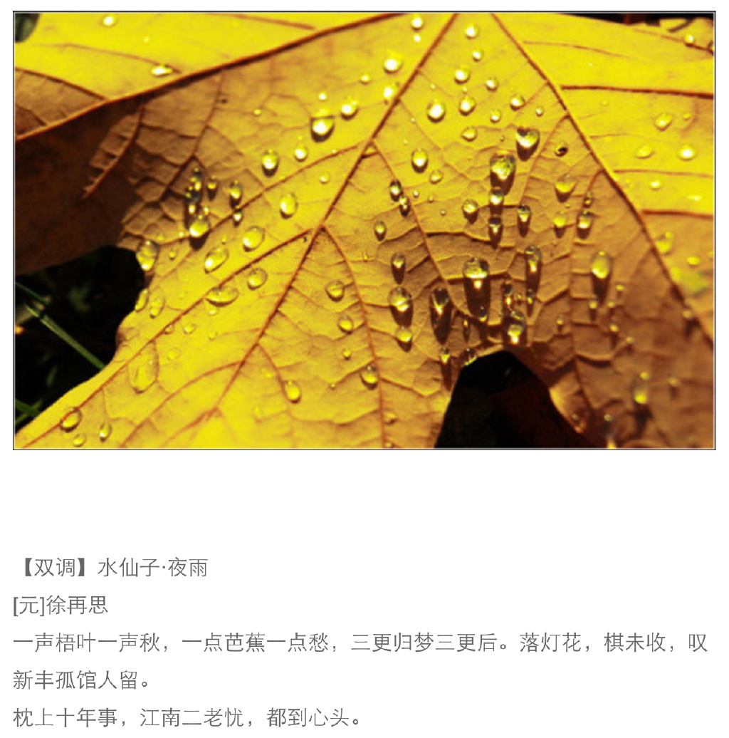 【古诗词中的秋雨】