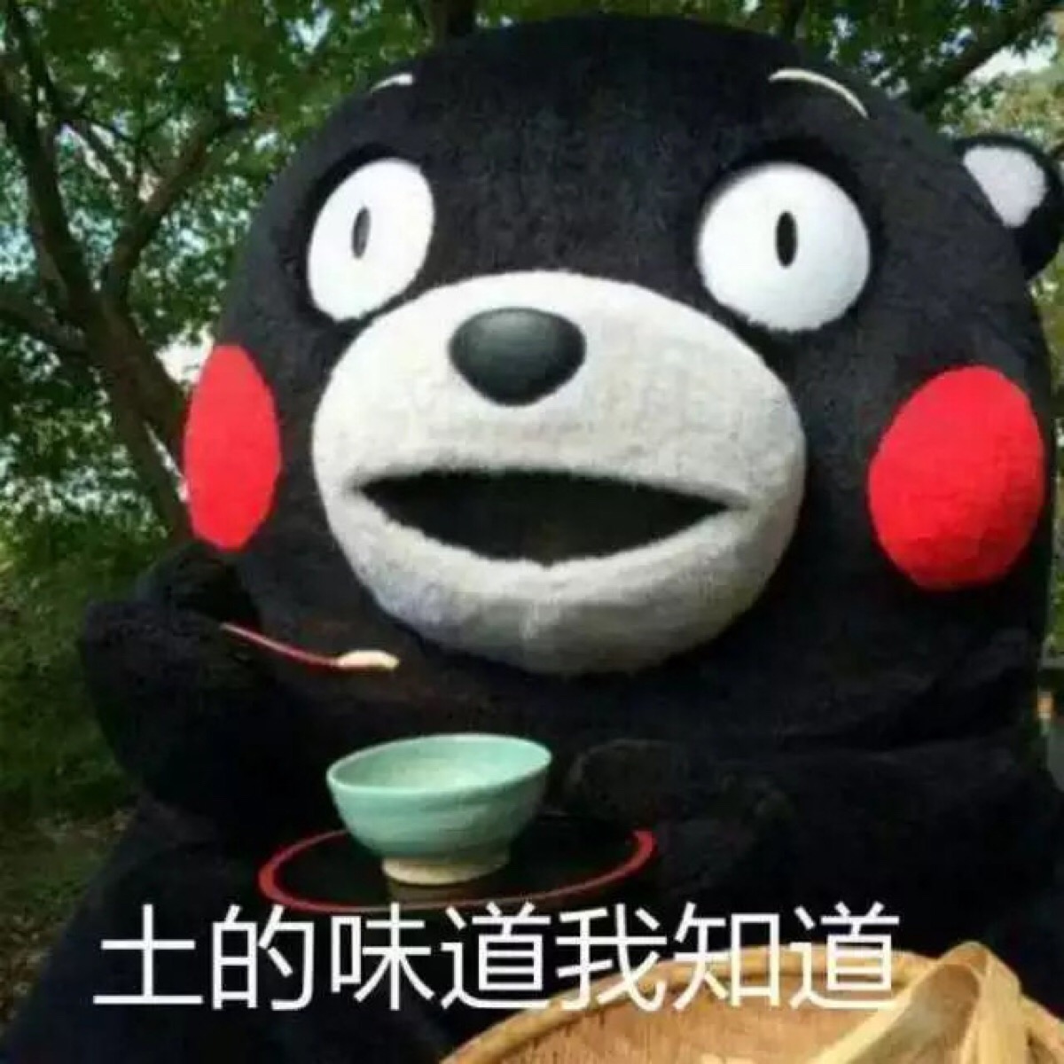 我吃土 