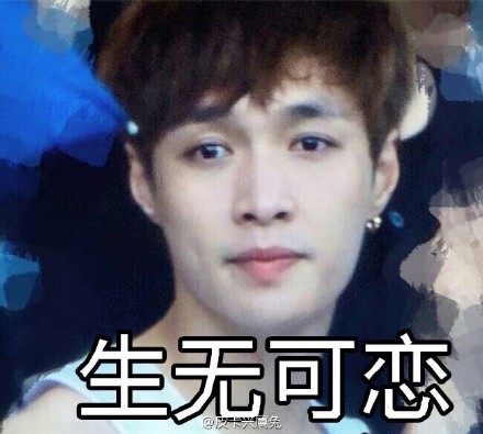 表情包 exo 张艺兴 lay 主舞 一巡 二巡 三巡 演唱会 极限挑战 第一季