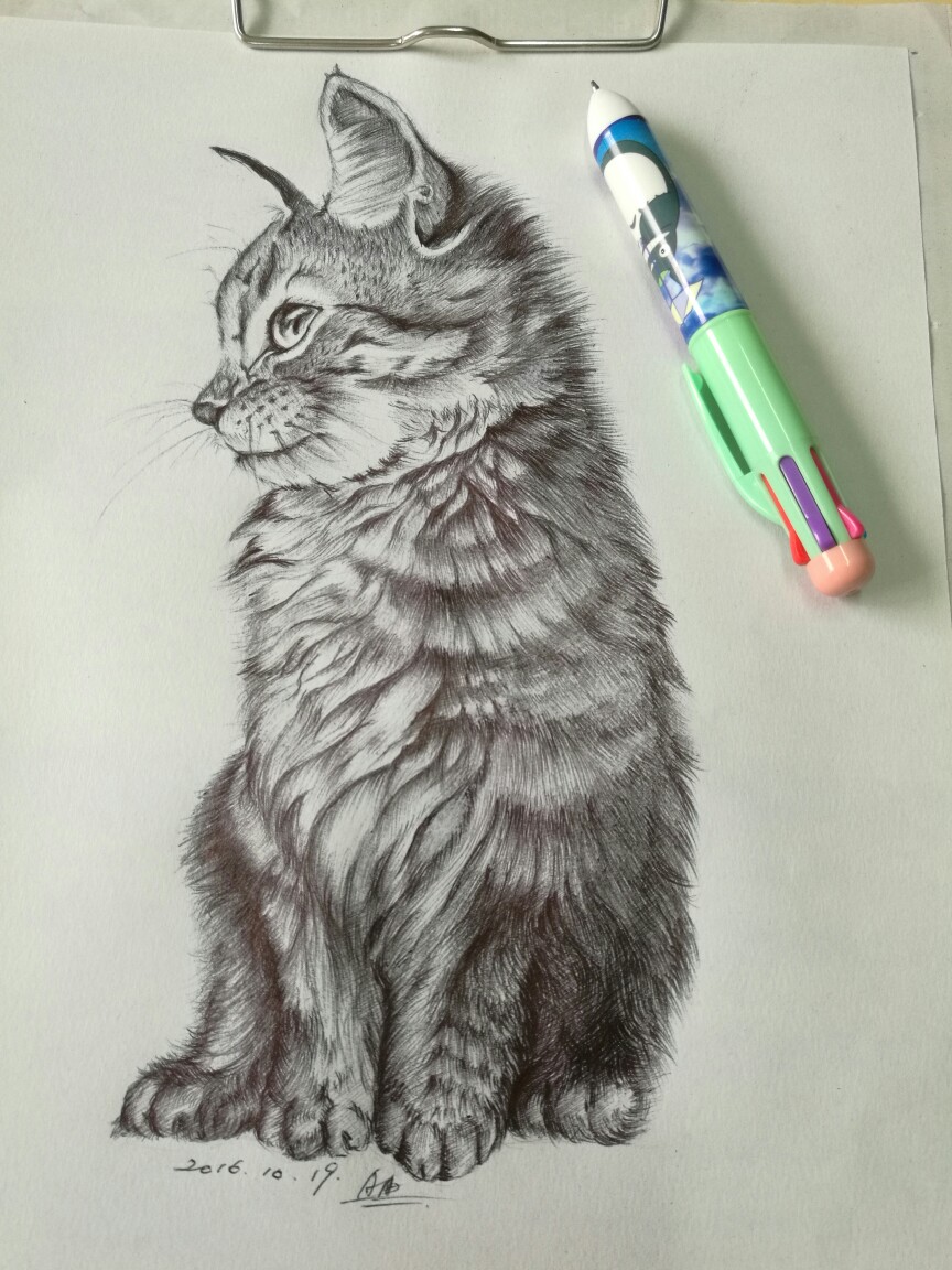 圆珠笔画猫咪
