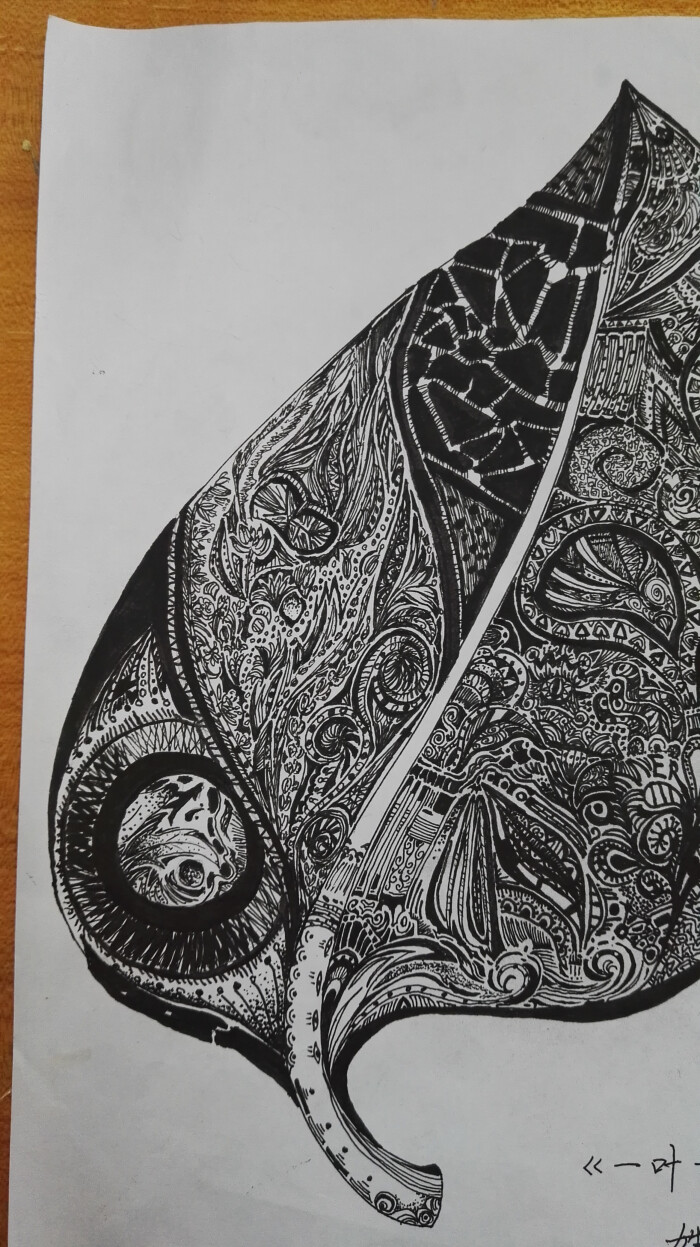 插画 植物 线描画