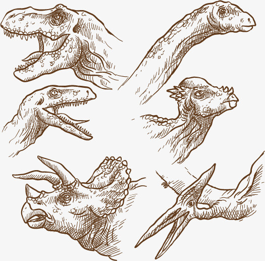 矢量手绘恐龙