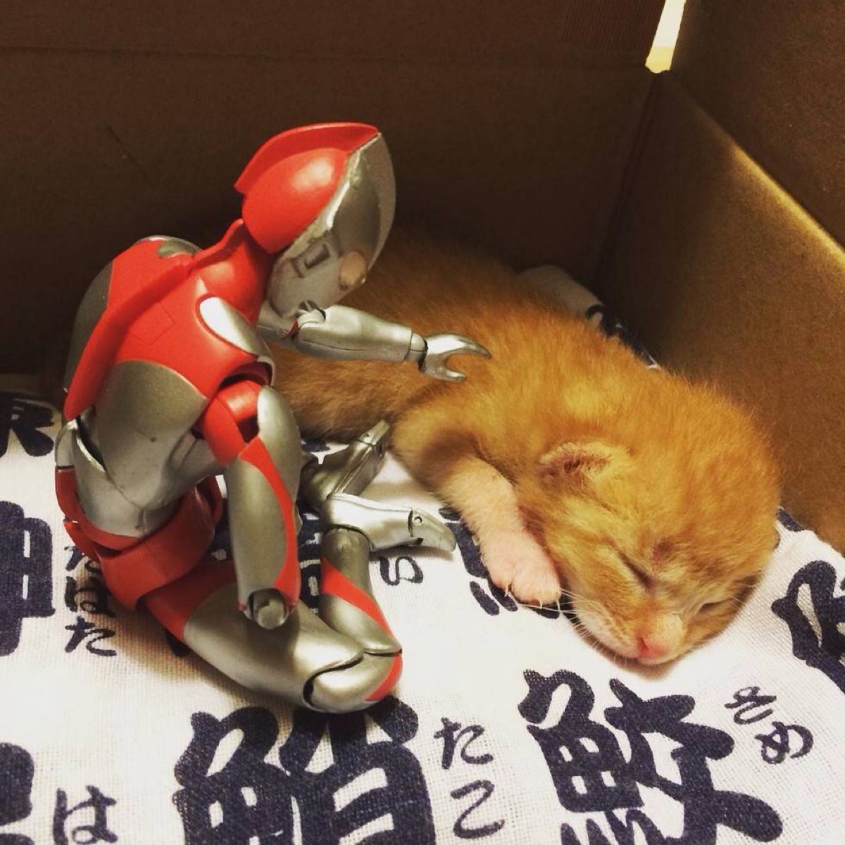背景 头像 猫 奥特曼 方块图