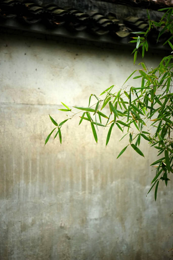 粗茶淡饭有诗意,光阴透过指间,淡看流年烟火,细品岁月静好,心中的风景