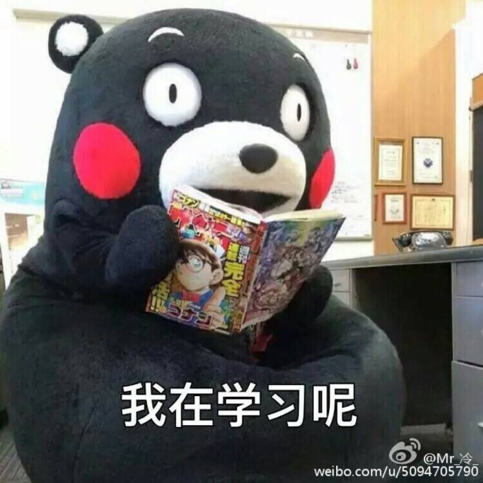 熊本熊 表情包 学习