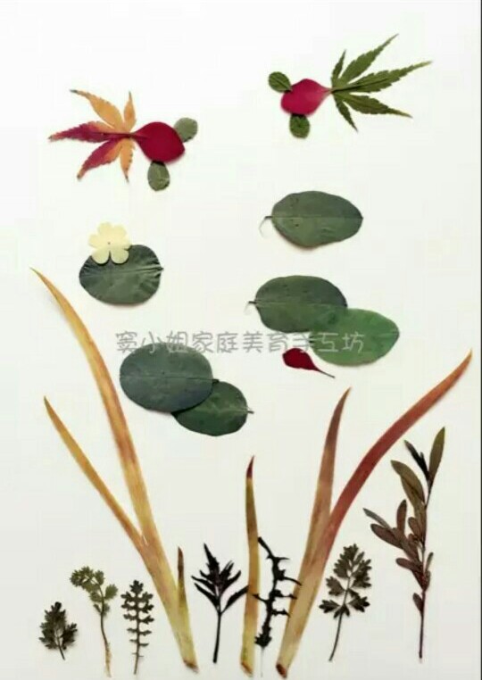 树叶贴画(收集)