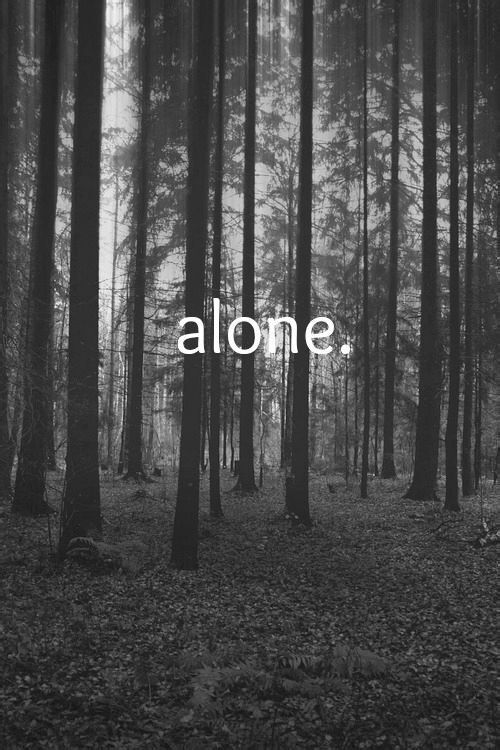 森林 孤独 黑白 壁纸