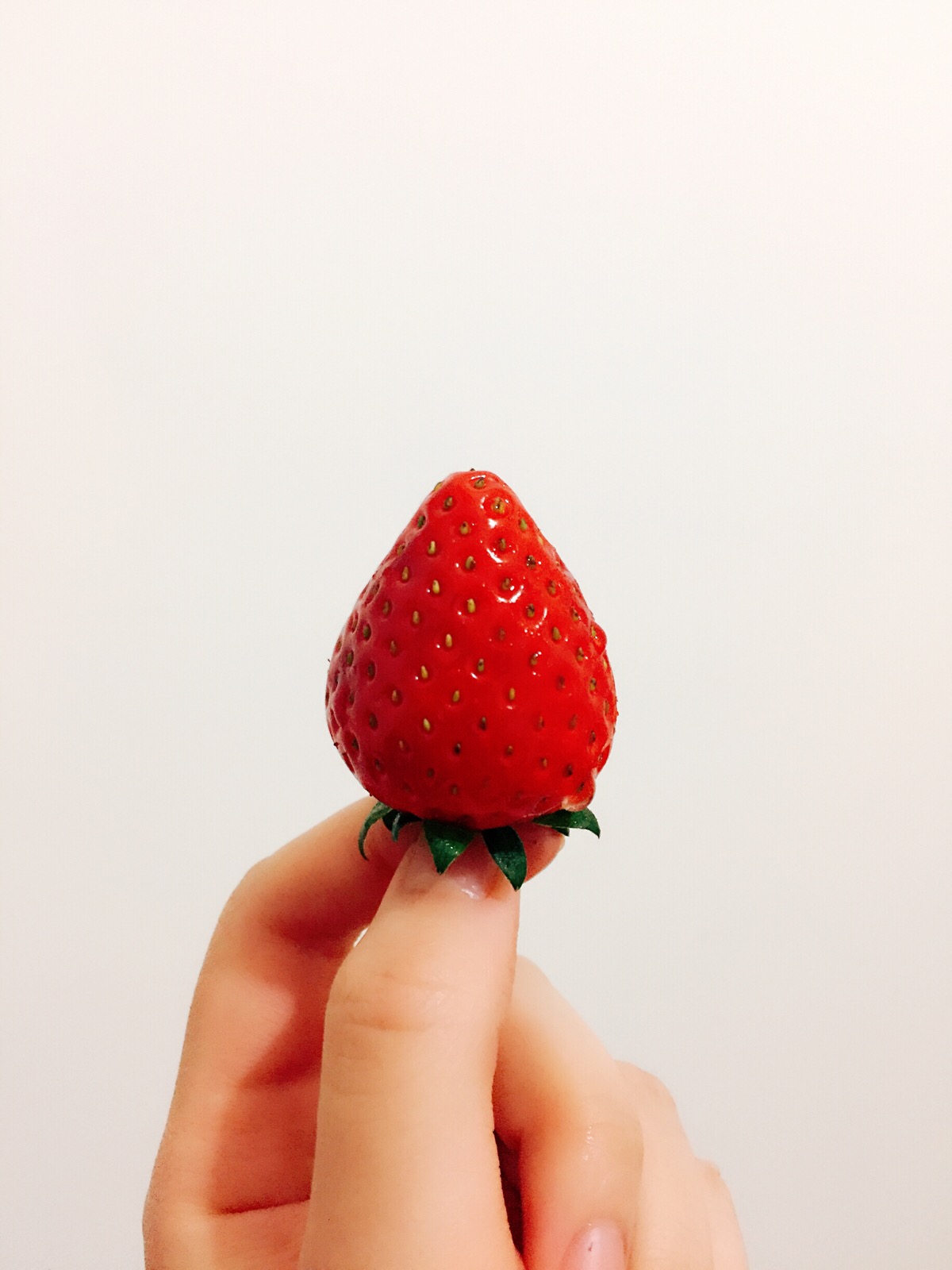 遇见一颗标致的小草莓#水果#草莓