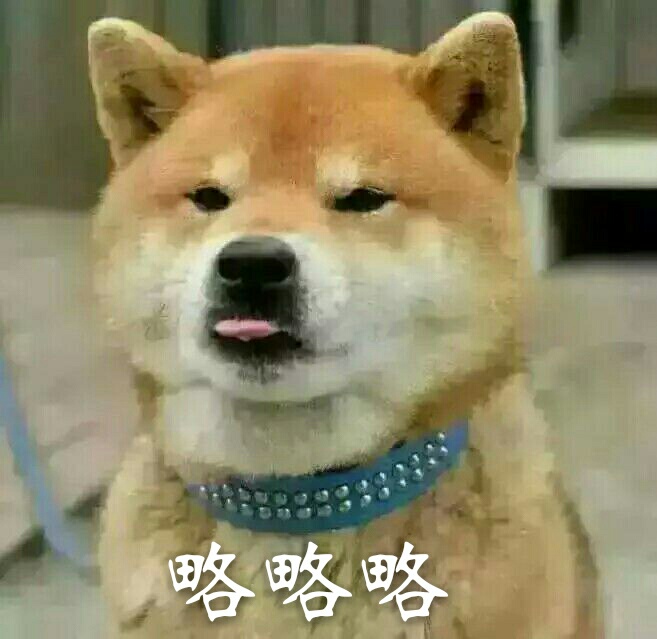 柴犬表情包 略略略