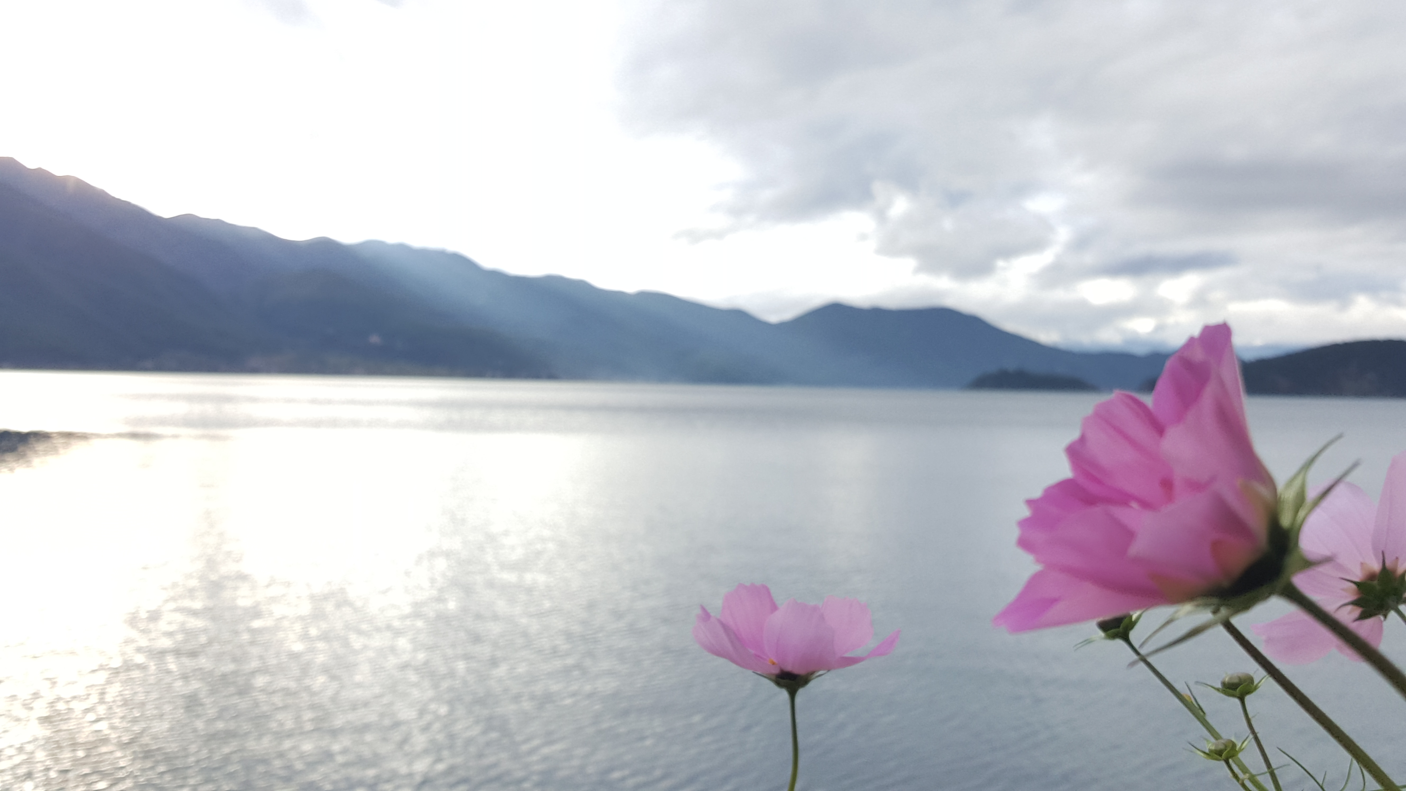 听摄影老师的 加个花做前景