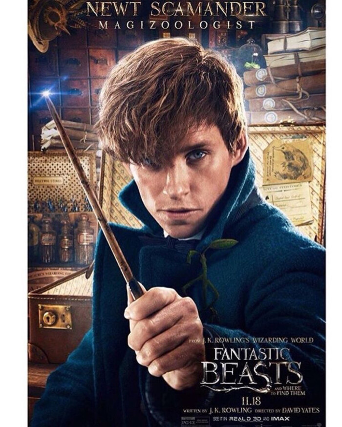 fantastic beasts and where to find them 《神奇动物在哪里》