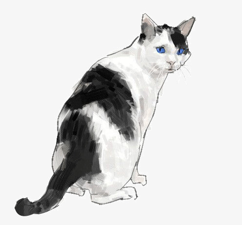 水彩手绘猫咪