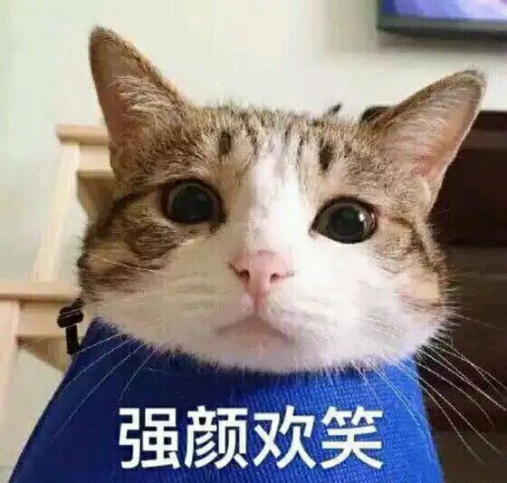 搞笑 魔性 表情 逗比 趣味 可爱