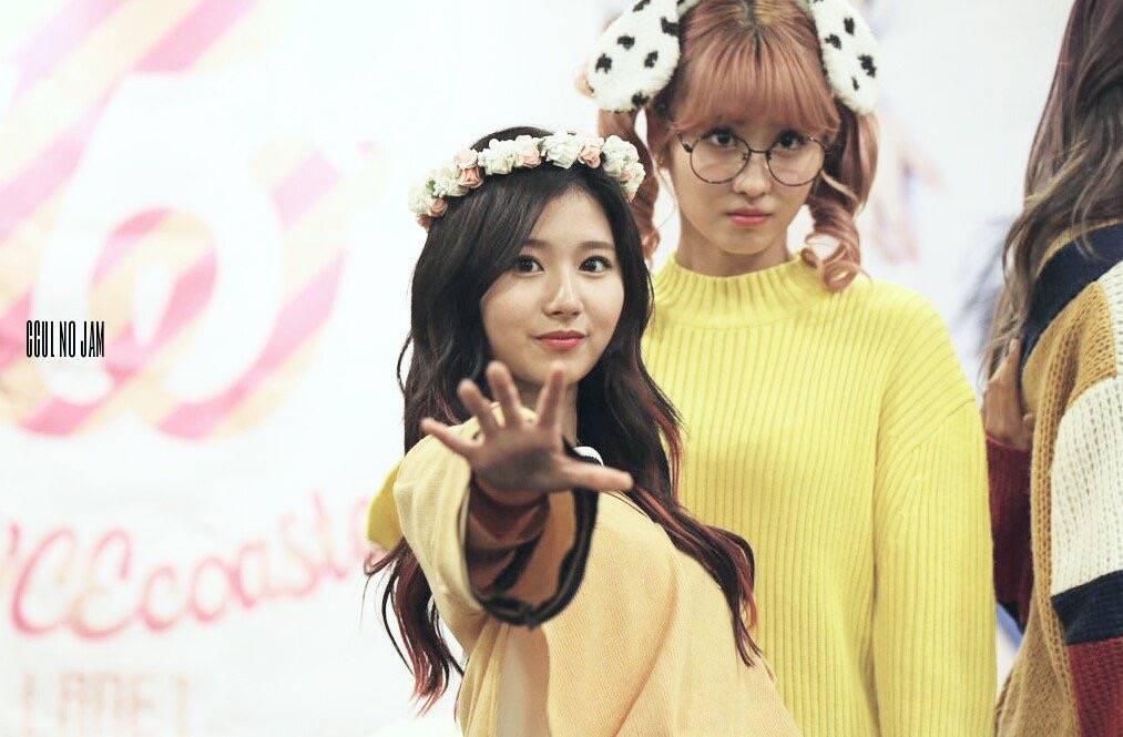 sana&momo