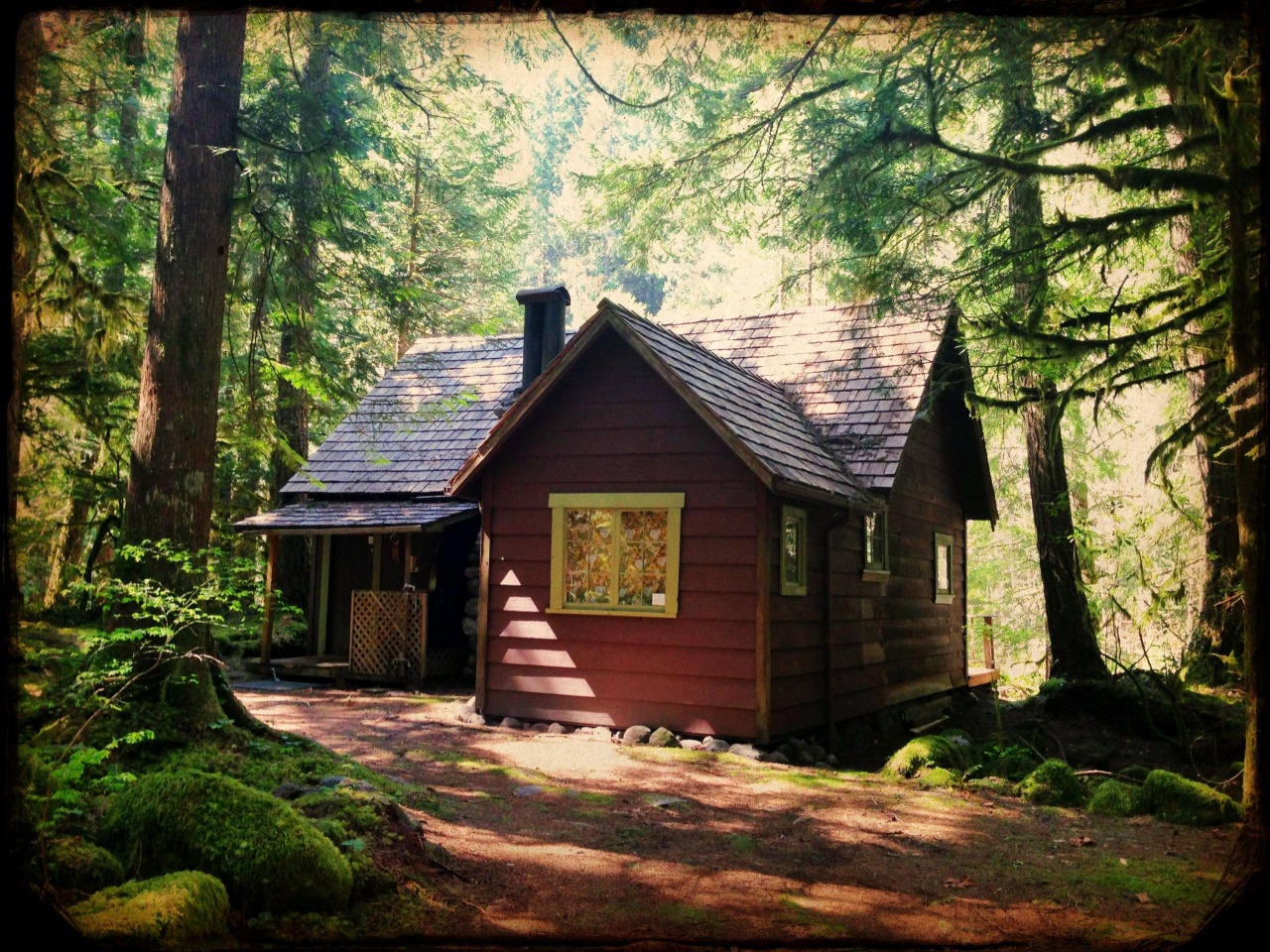 森林中的房子 b162
