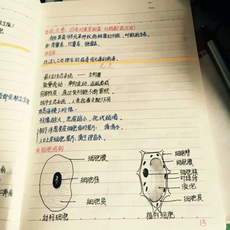 学霸笔记生物和地理