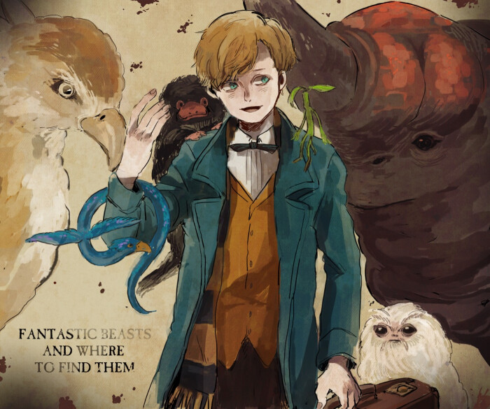 fantastic beasts and where to find them 《神奇动物在哪里》