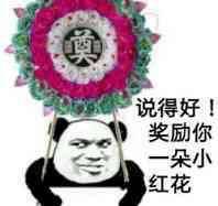 说得好 奖励你一朵小红花 表情包