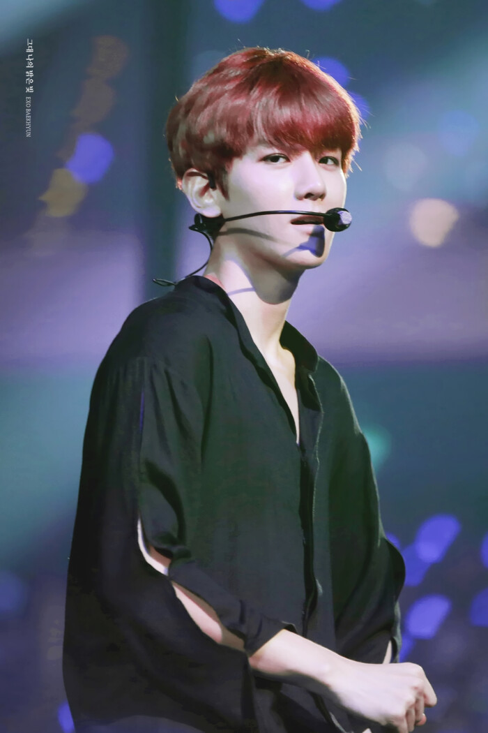 EXO三巡The EXOrDIUM 台北演唱会 边伯贤