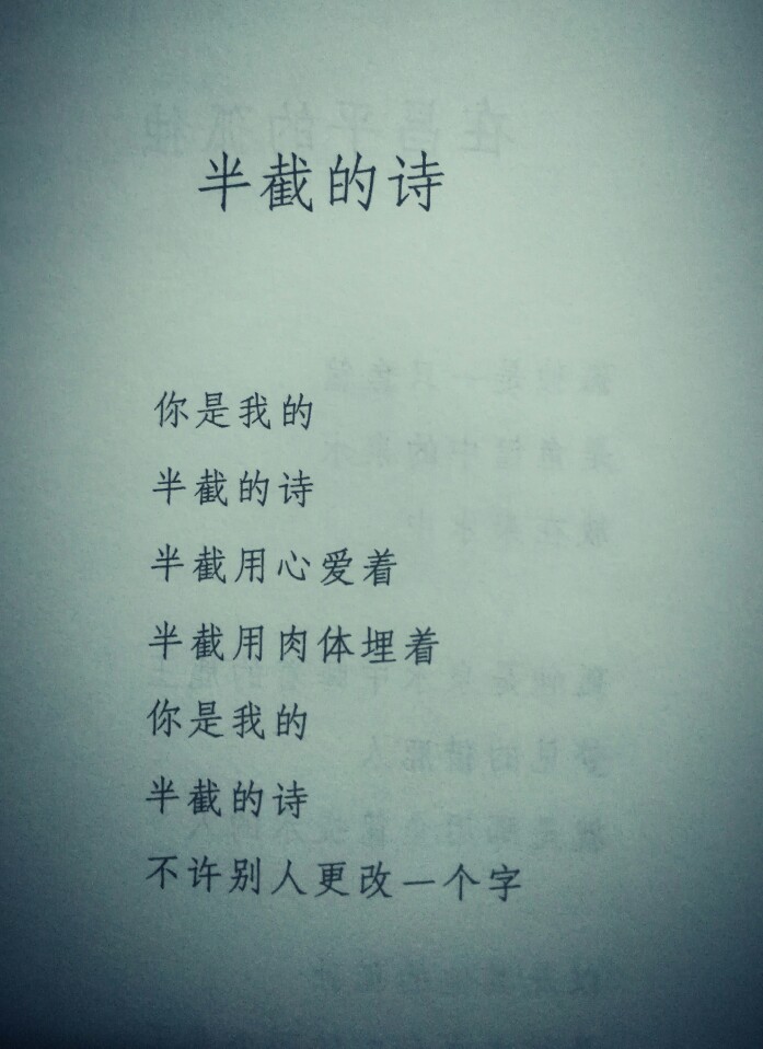 半截的诗 海子