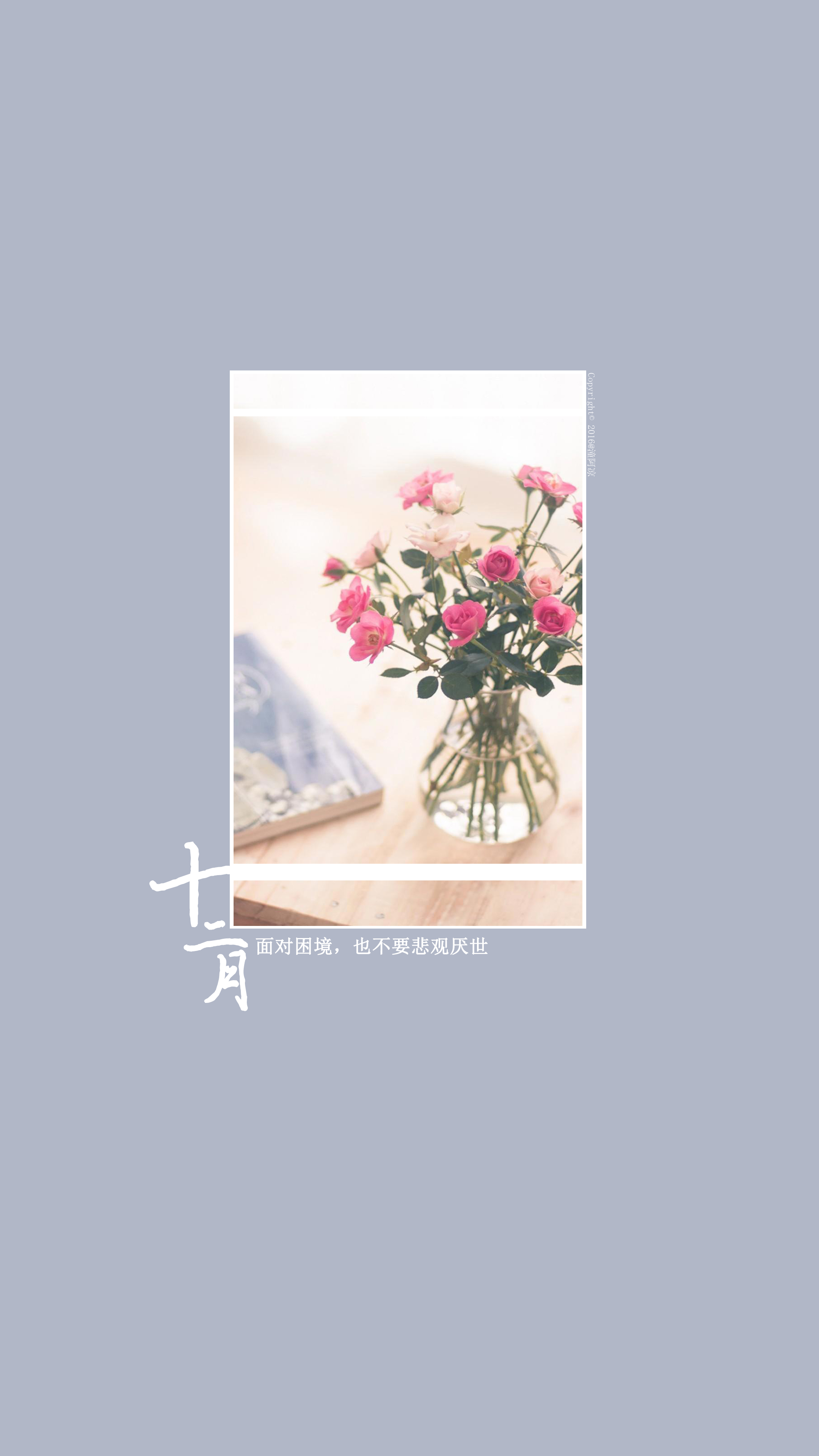 [你好,十二月]#月份#节日#风景#花朵#英文#文字#手机壁纸#@潼阿凉to