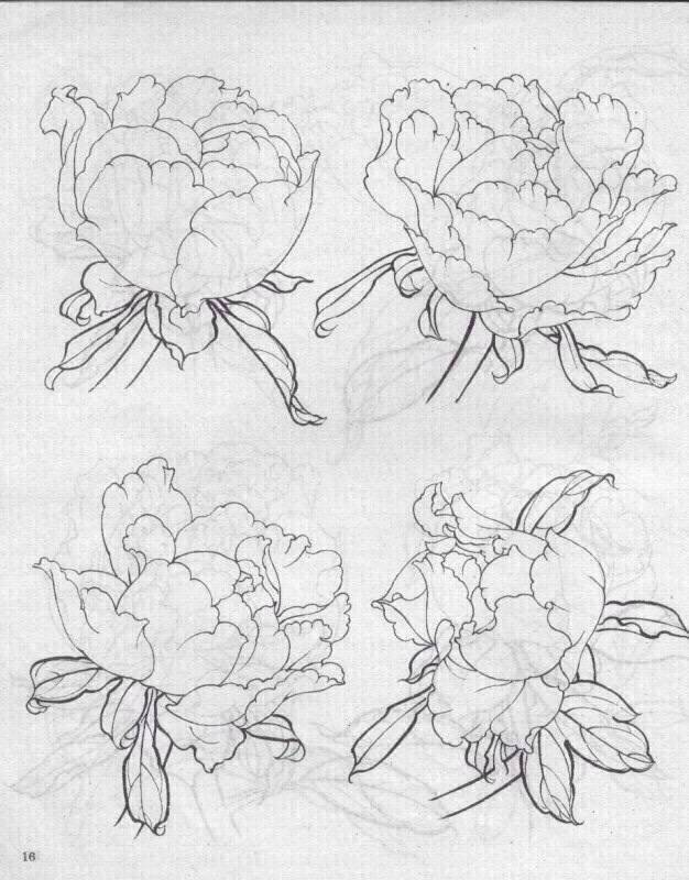 画素材 牡丹 白描 线稿 黑白 植物 花卉 参考