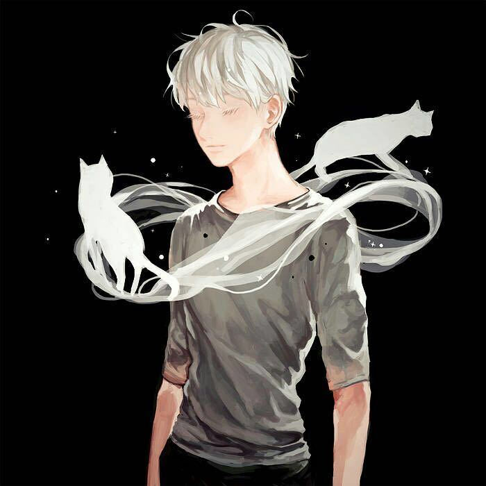 男头猫黑暗