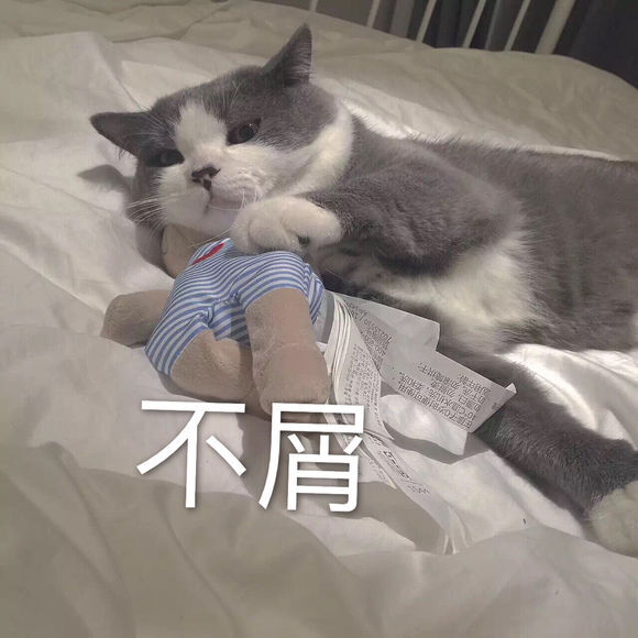 表情包 笑惜