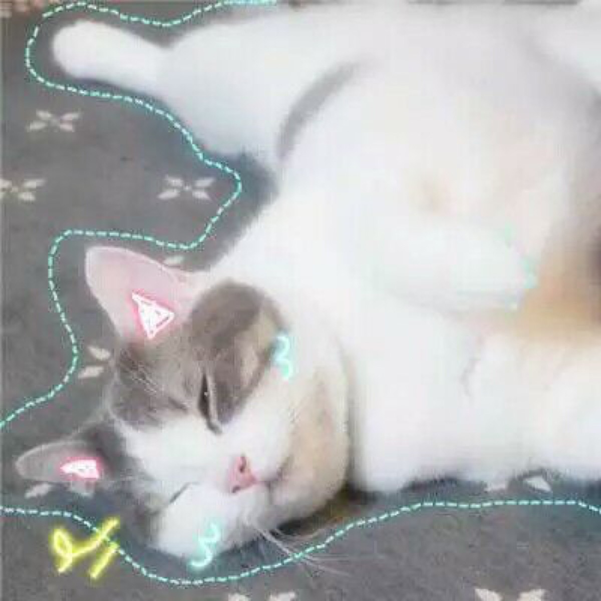 [猫咪表情][可爱表情][软妹表情]喵星人 汪星人 表情包 可爱 萌