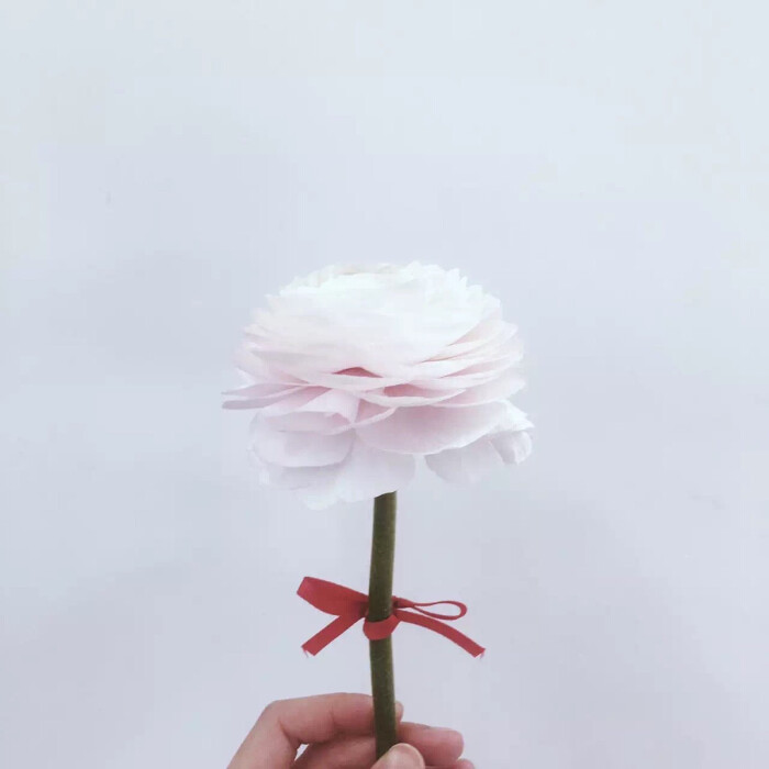 简洁头像