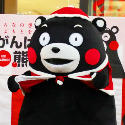 kumamon#熊本部长 熊本熊圣诞头像′艸)