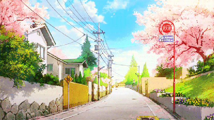 春天 樱花 晴朗 落花 街道 乡村