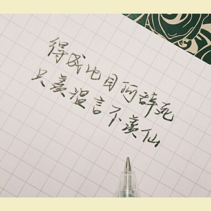 文字收集手写(之前的同桌的字)十年一品温如言言希温衡