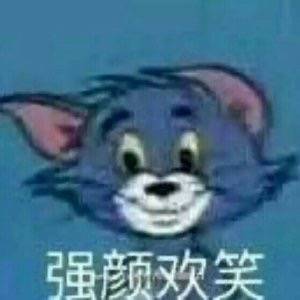 猫和老鼠表情包.汤姆依旧可爱