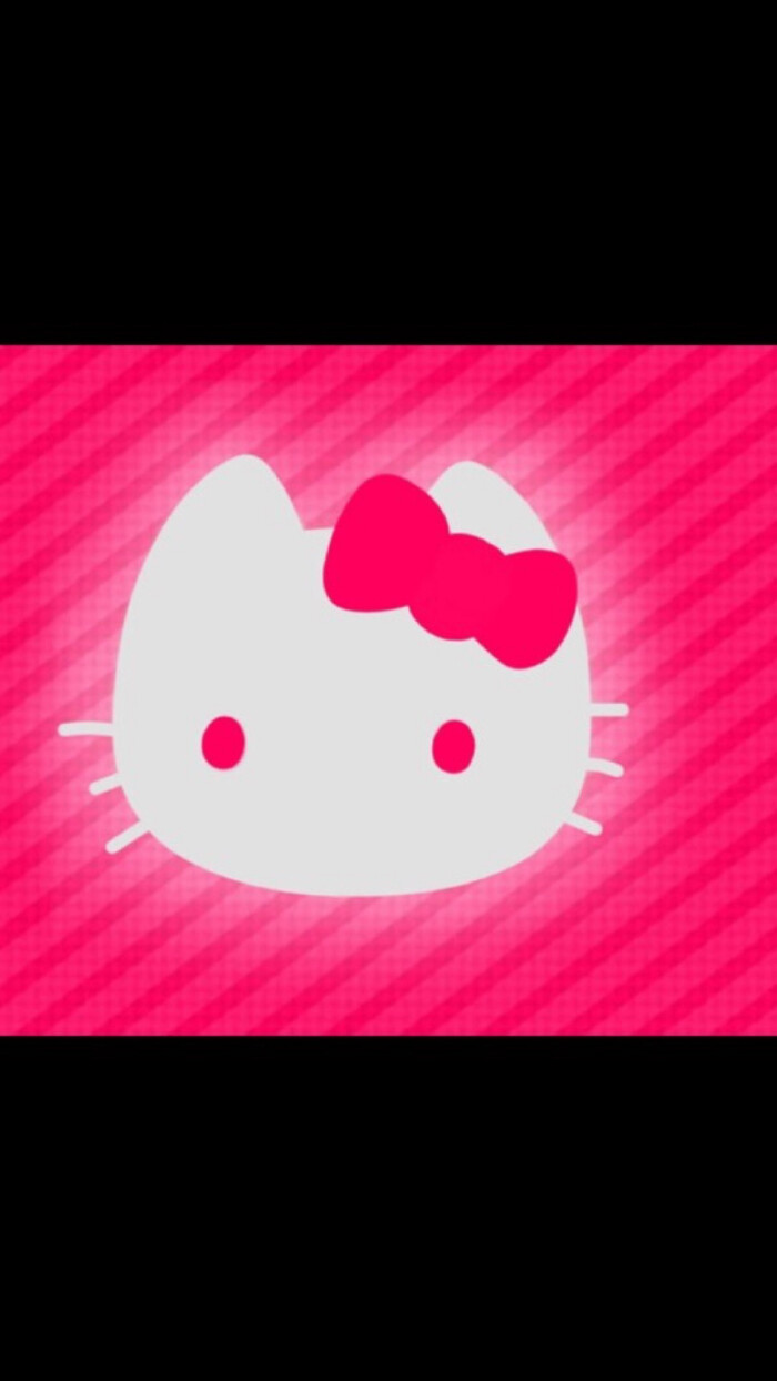 新新holle kitty 猫