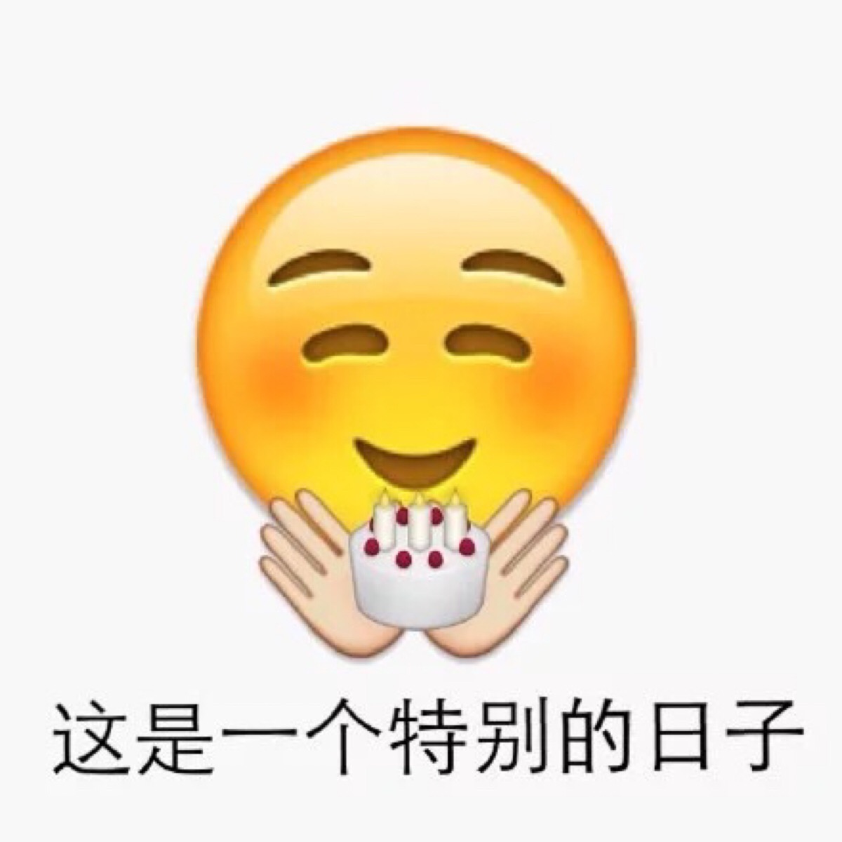 这是个特别的日子