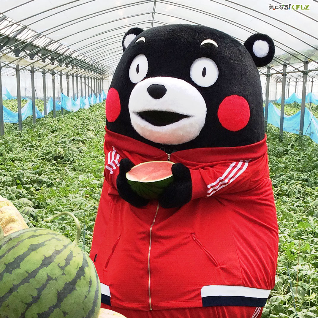 kumamon##熊本部长# 熊本熊圣诞头像( ′艸")