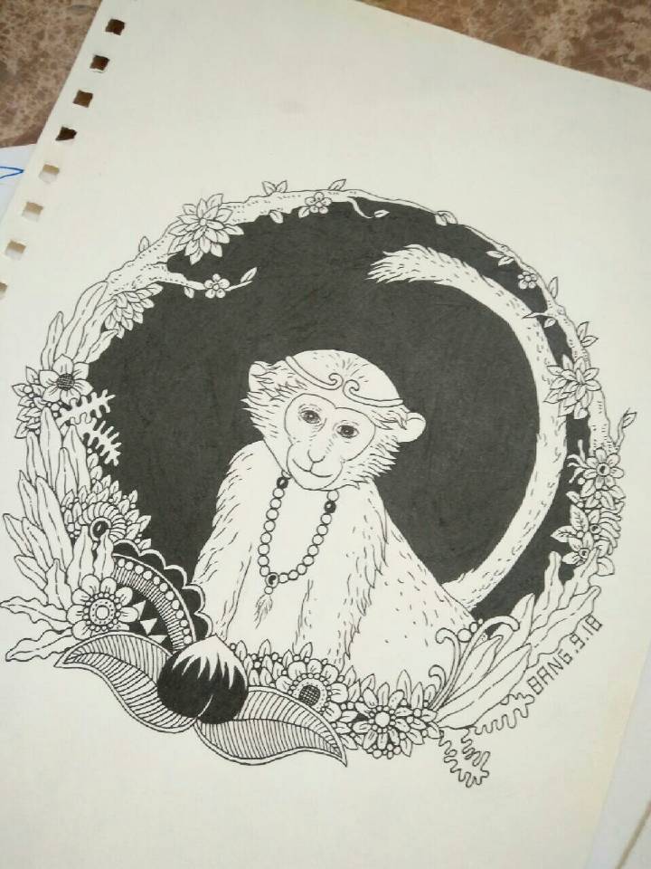 黑白生肖画-猴手绘线描