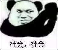 表情包 熊猫 社会 社会