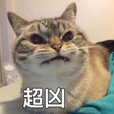 宇宙最凶猫