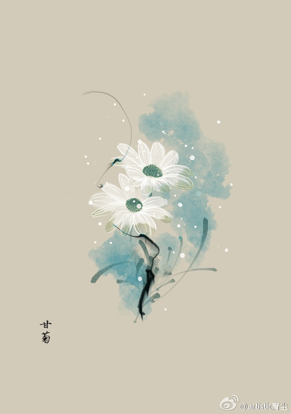 关注 10月06日 小白菊(feverfew 花语:清澄 古风素材 绘画 插画